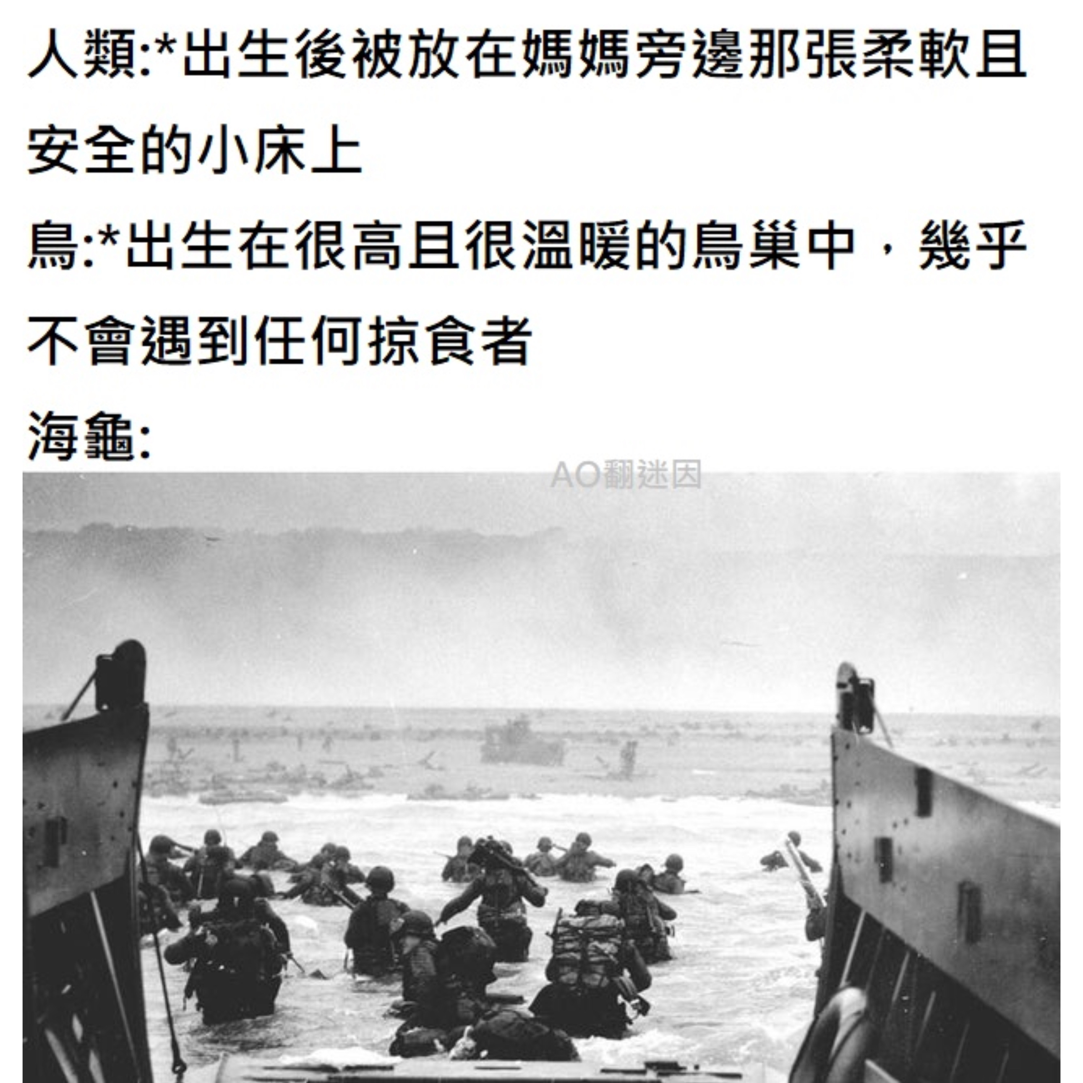 抢滩登陆战memes