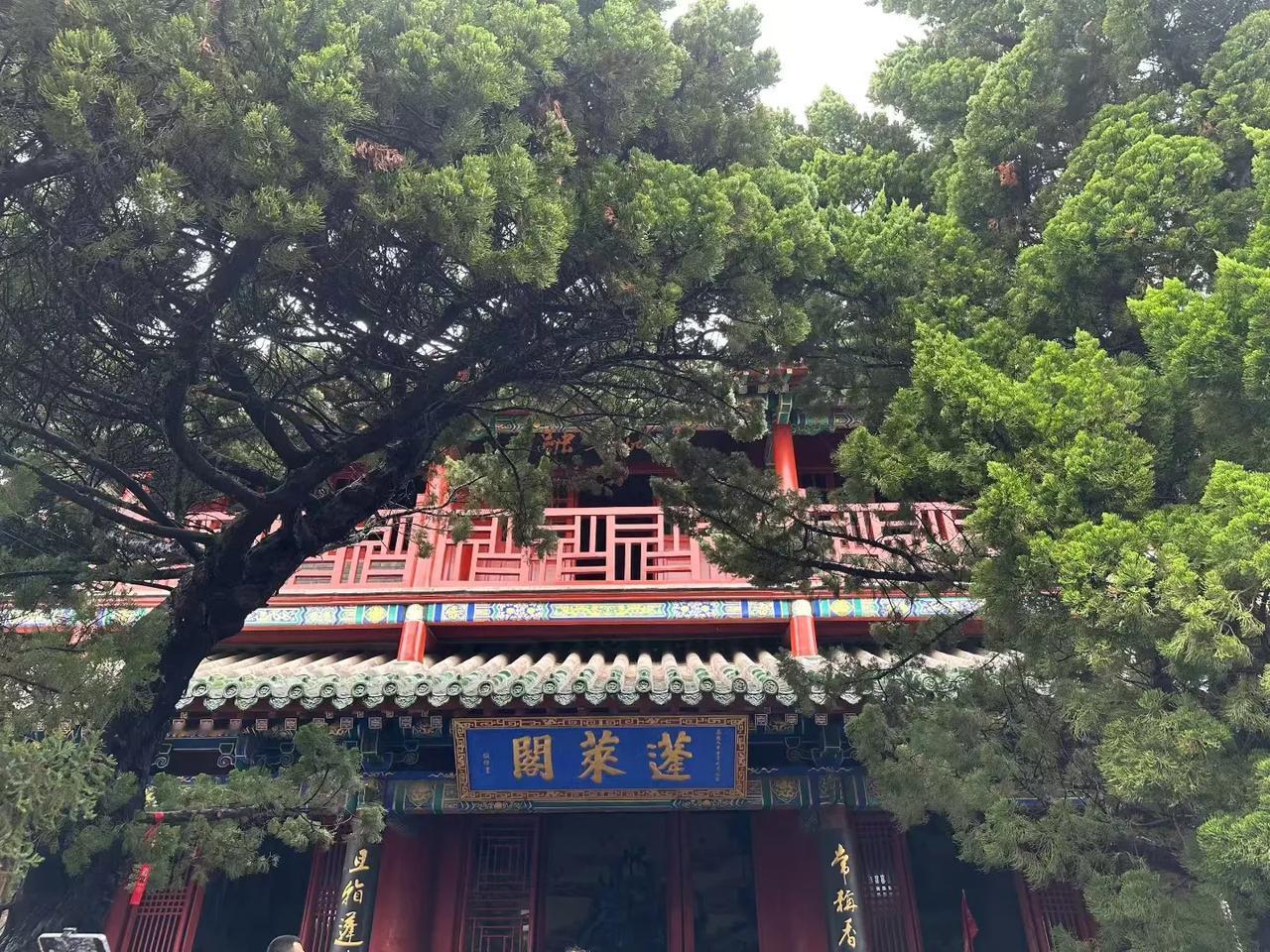 昭阳殿里恩爱绝，蓬莱宫中日月长
