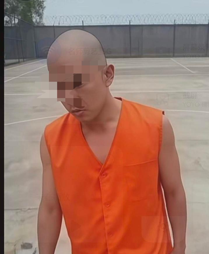 金毛到底图什么？估计他自己都不知道！金毛就是平时没事干而惹是生非，整