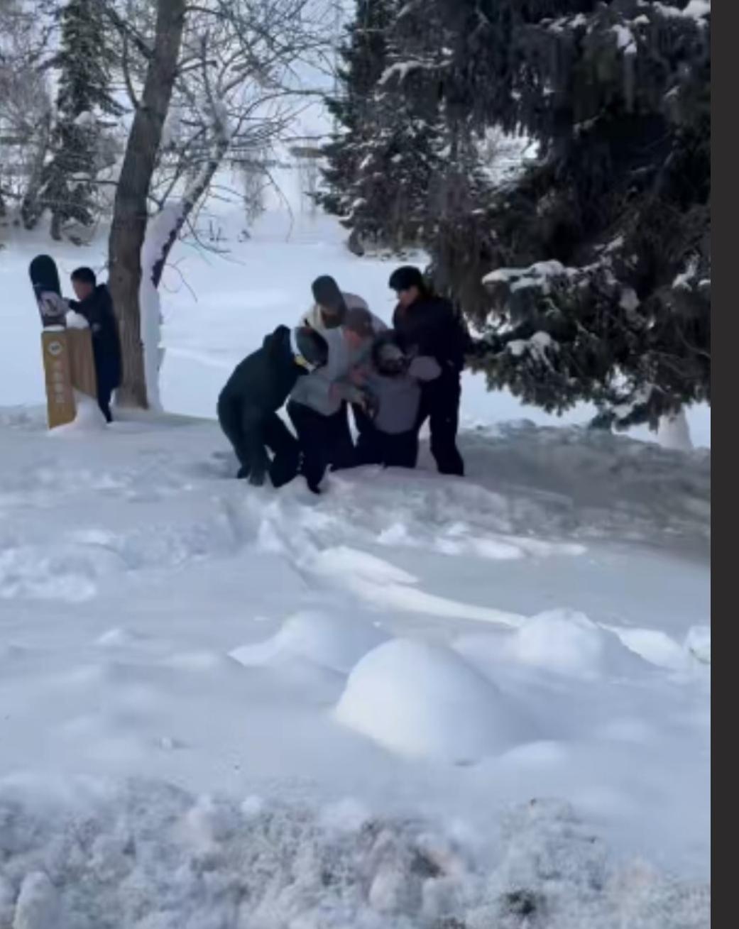 新疆可可托海度假区，零下十几度的冰雪世界里，一女生为了出片竟然靠近野生雪豹，下一
