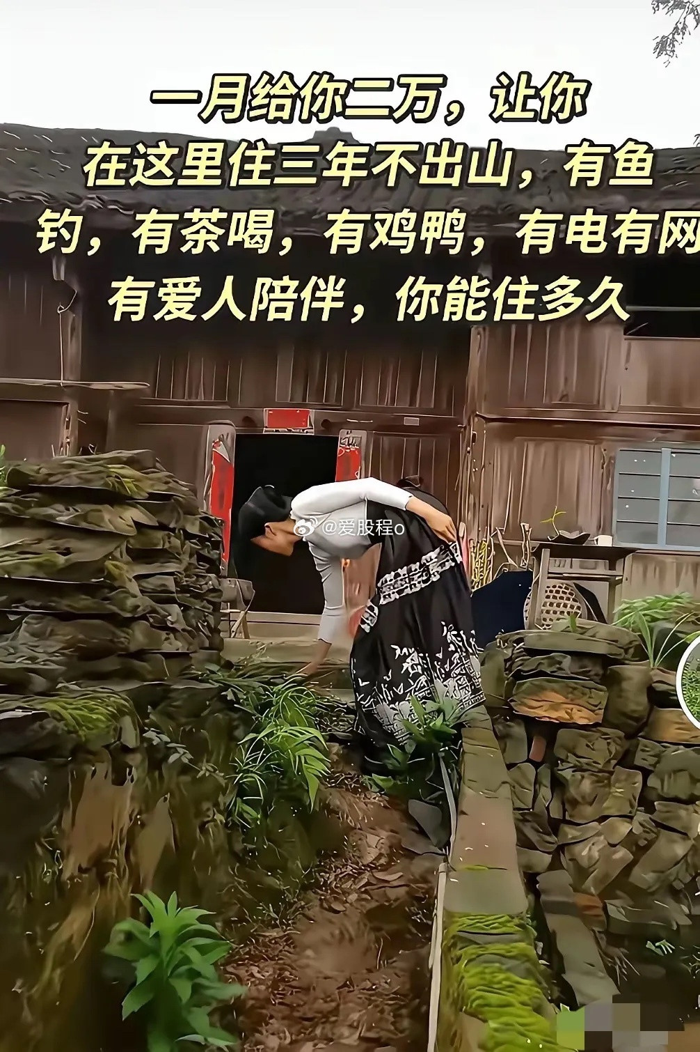 有这条件，没钱都去了！