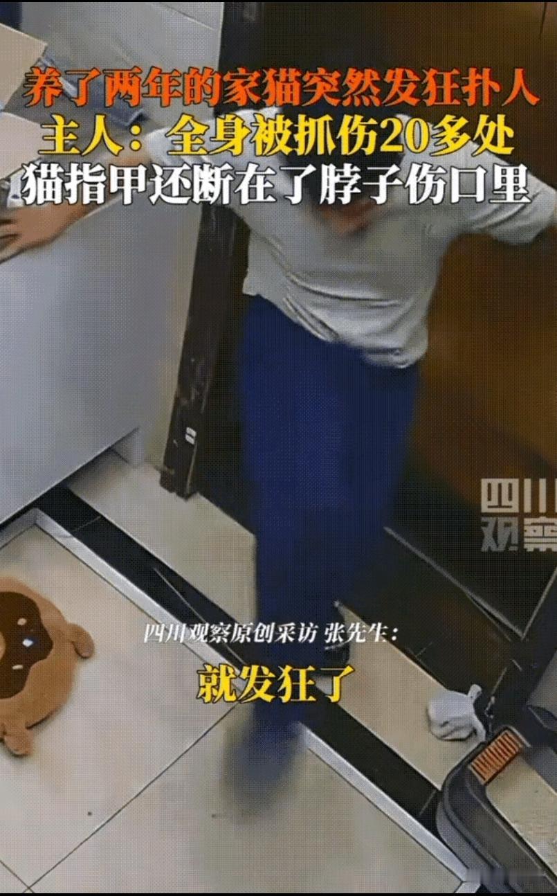 太让人寒心了！武汉，一男子闲来无事，蹲地上逗自己家猫，没想到，猫却突然扑了他