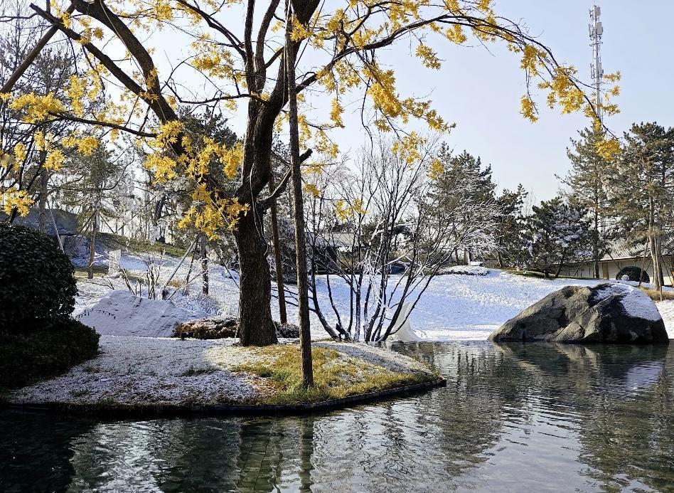 北京二手房1月网签突破1.2套，能否冲击1.5万套，值得关注！昨日（1月27