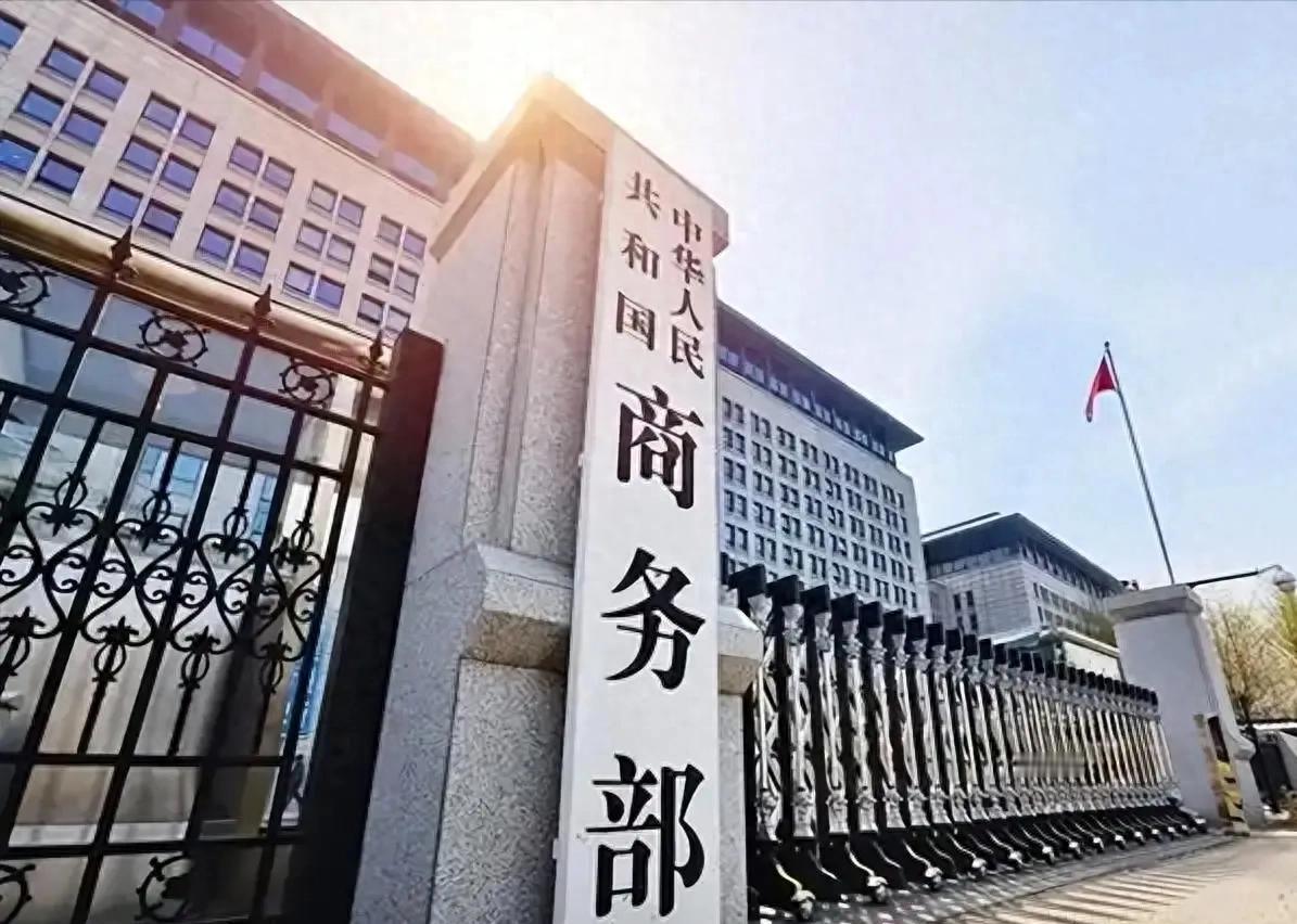 日本这下压力大了！高市早苗恐怕也没料到，稀土相关限制还没等来松动，中国这边又先落