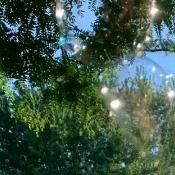 那些走过的路，那些笨拙而缓慢的生长，会让生活变得独立而丰富，那些咬牙坚持和日日锤