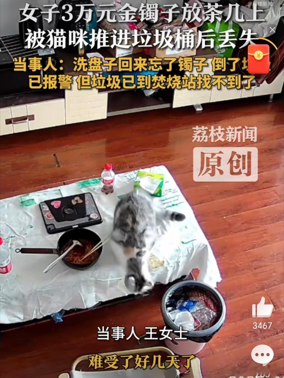 3万金镯子被猫推进垃圾桶后扔了我感觉花上一点钱找人应该可以找到吧！而且这玩意是
