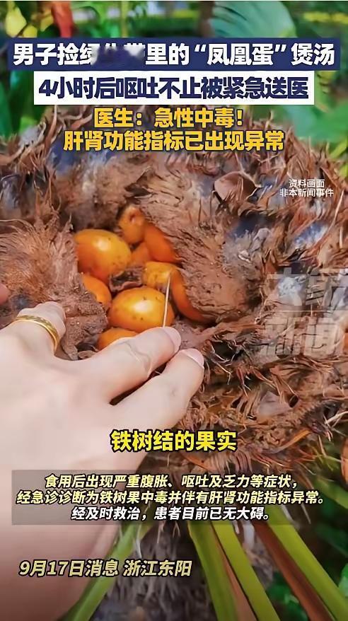 胆子真大啊！近日，浙江东阳，一男子路过小区绿化带时，看到地上有一堆红色的果实，他