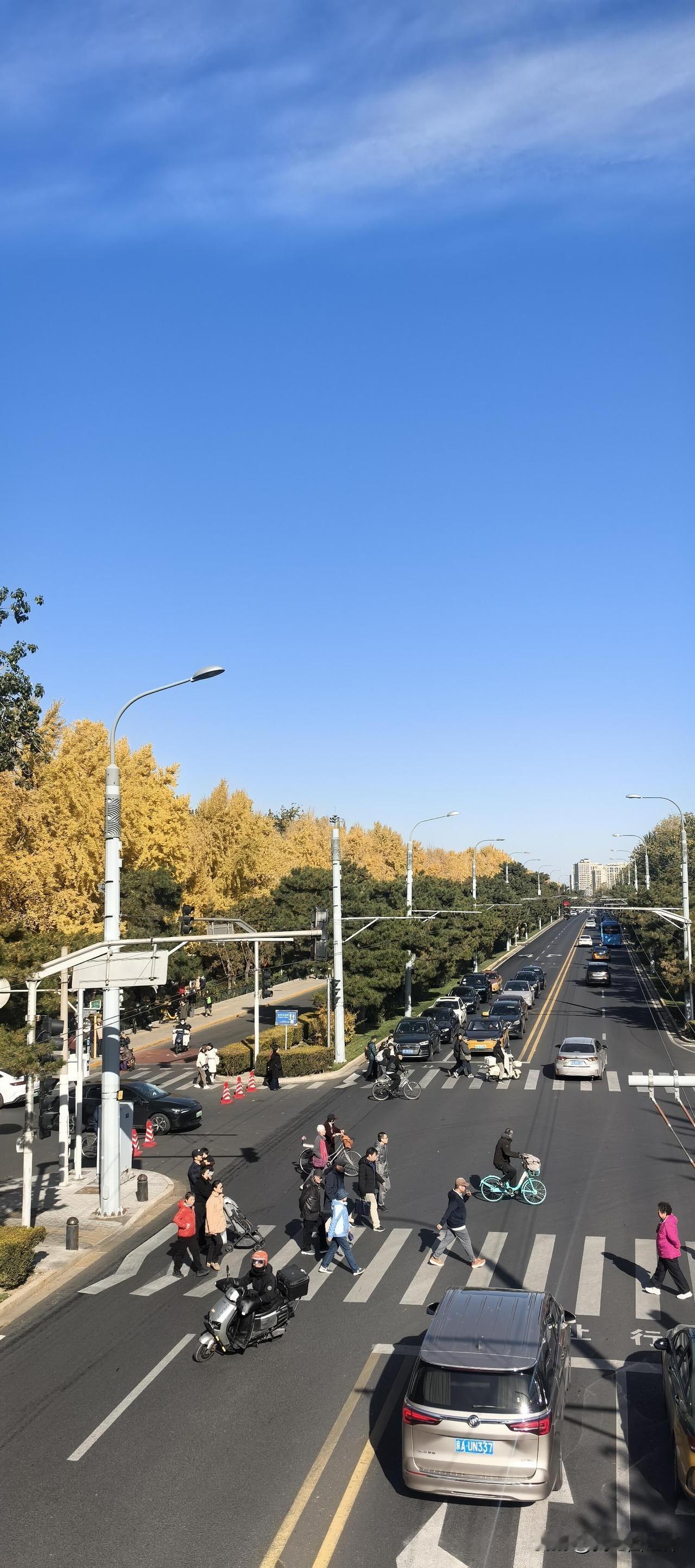 婆婆从乡下寄来一坛咸菜,我嫌脏转手送给了领导,半个月后领导唤我手机震动时，我正