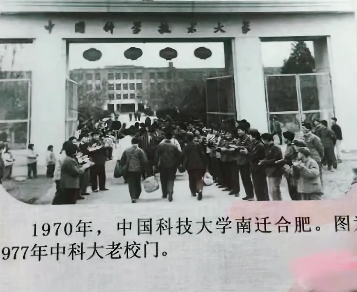 从小县城到省会城市，再到新一线城市，到科技之都，再到国际化大都市，也只有合肥能做