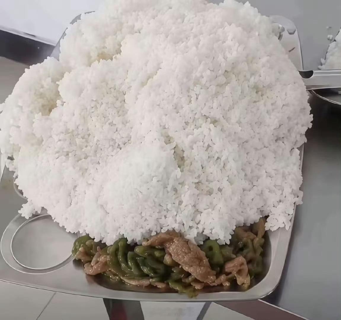 宝宝们我要吃午饭啦