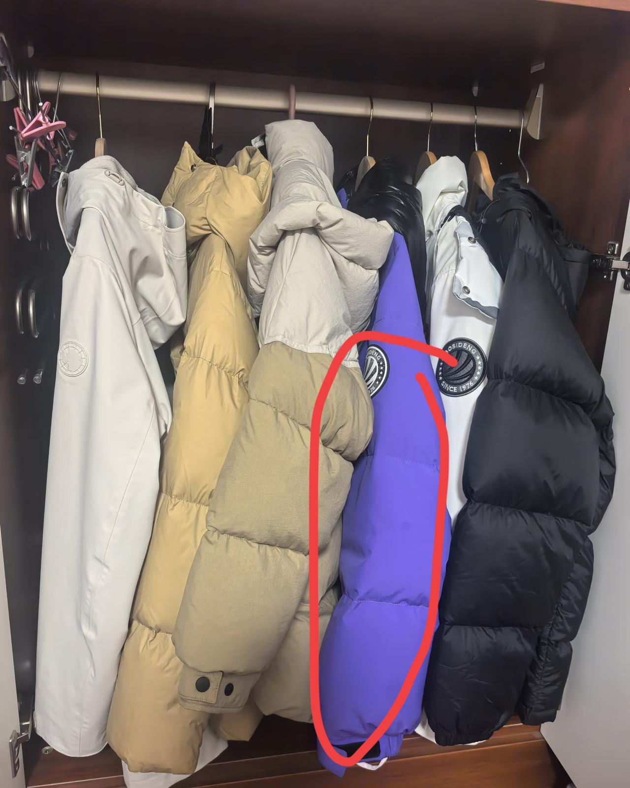婆婆没打招呼把我羽绒服送人，我发火后全家说我小气昨晚回家一开衣柜，我那件紫色羽