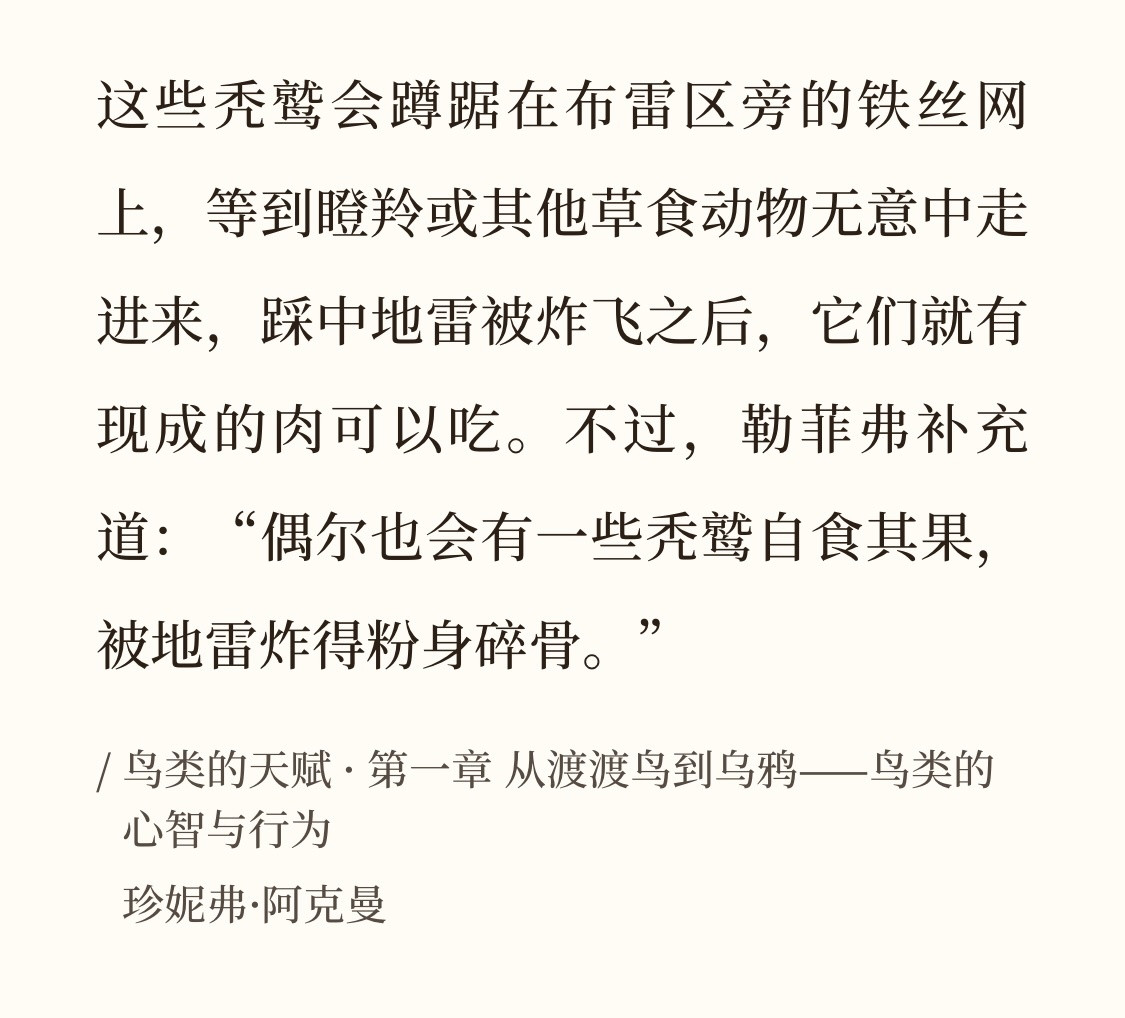喜欢看一些叽叽喳喳的聪明小鸟🥺