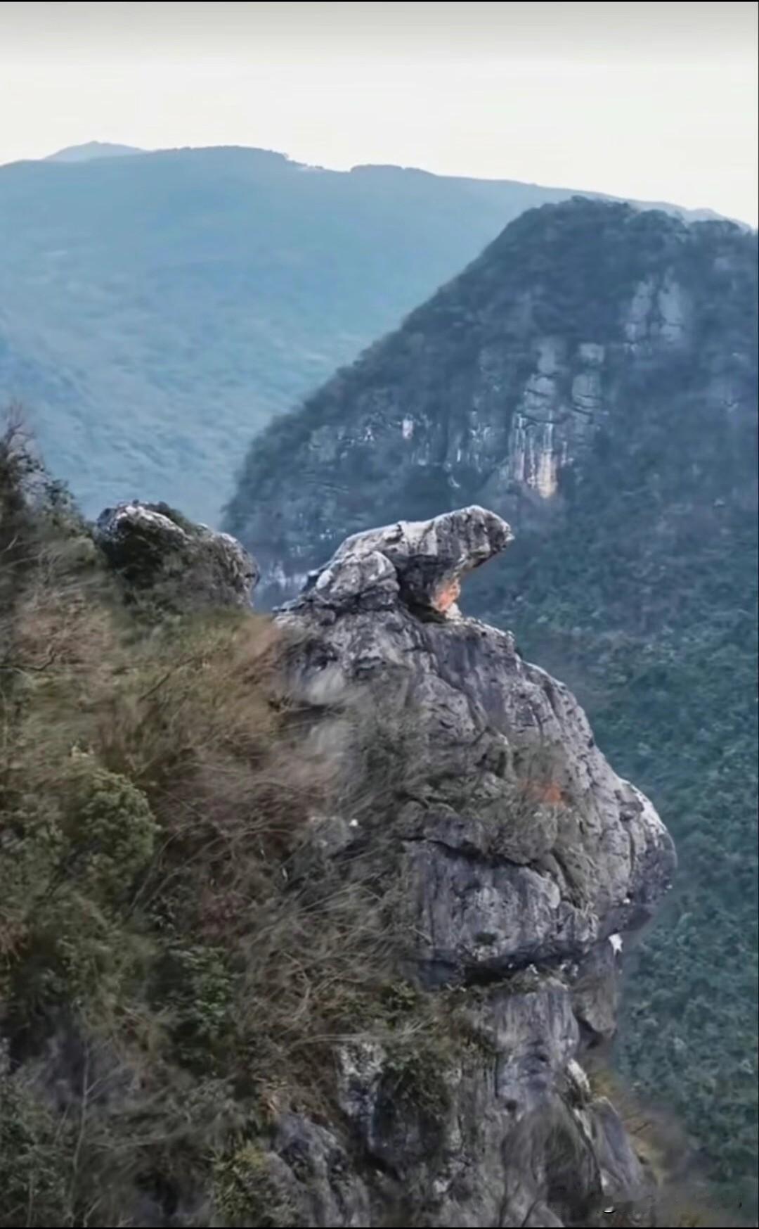 这肯定是个“王子”，一直梦想着有一天可以成功的娶到嫦娥；没想到等着、等着、等着、