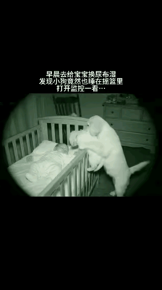 彻底解释不清楚了！女子早上起来给宝宝换尿不湿时，发现家里的小狗也睡在摇篮里！可是