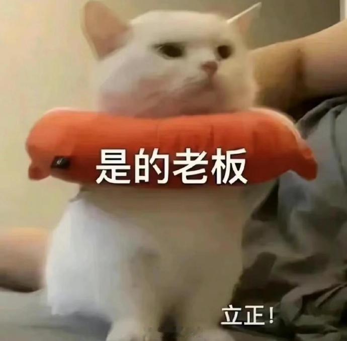 聊天必备表情包第731弹喵星人必备表情包​​​（拿图吱声）​​​
