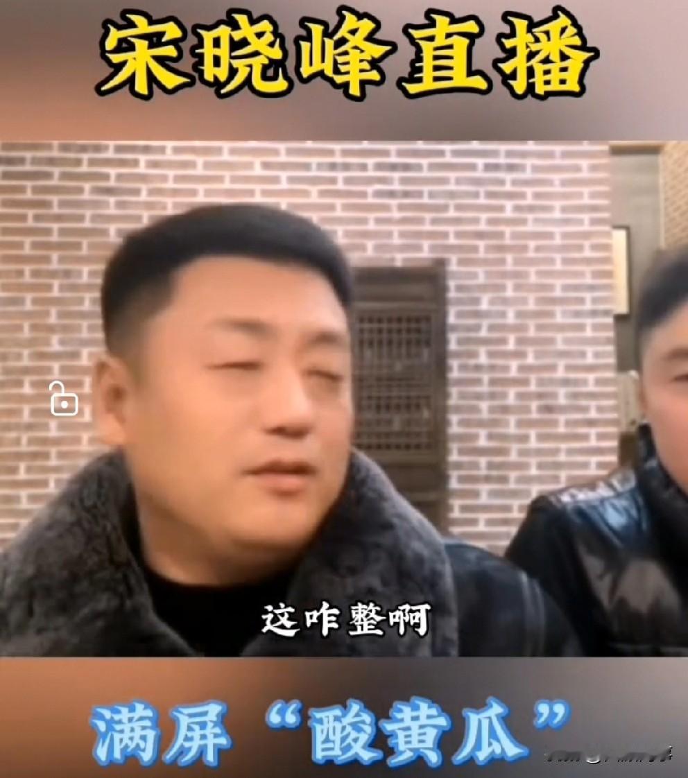 “酸黄瓜”霸屏全网，宋晓峰无奈关播！    演员闫学晶