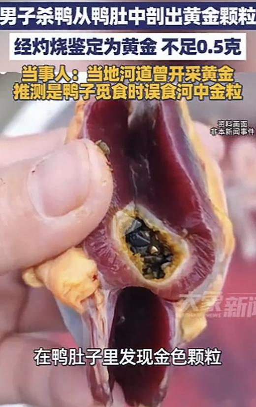 意外之喜！湖南邵阳，一男子过年时杀鸭来吃，不料在处理鸭子时，竟从鸭肚子中发现一些
