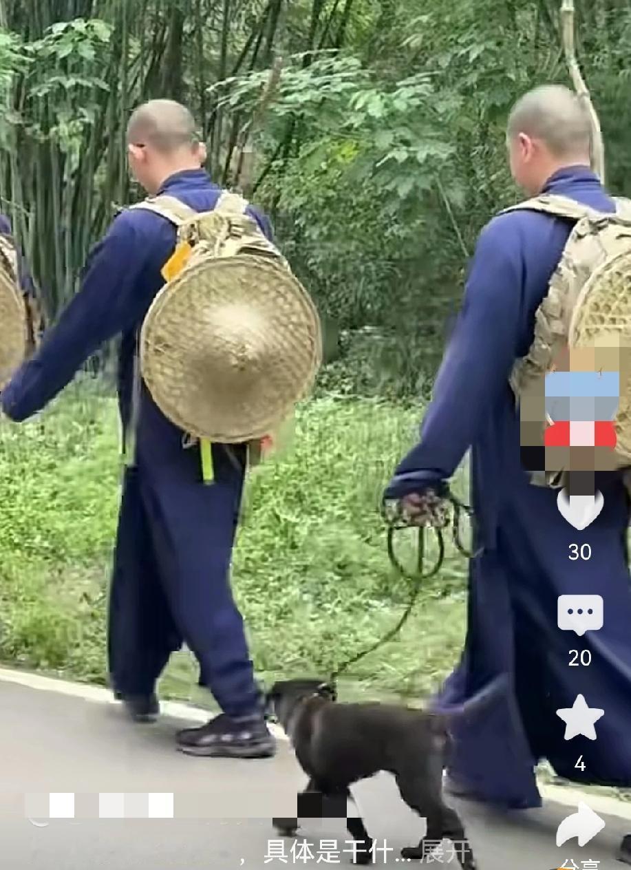 为什么现在路上的和尚都戴这种帽子？这次还带上狗子一起成行成列了！1. 行为完