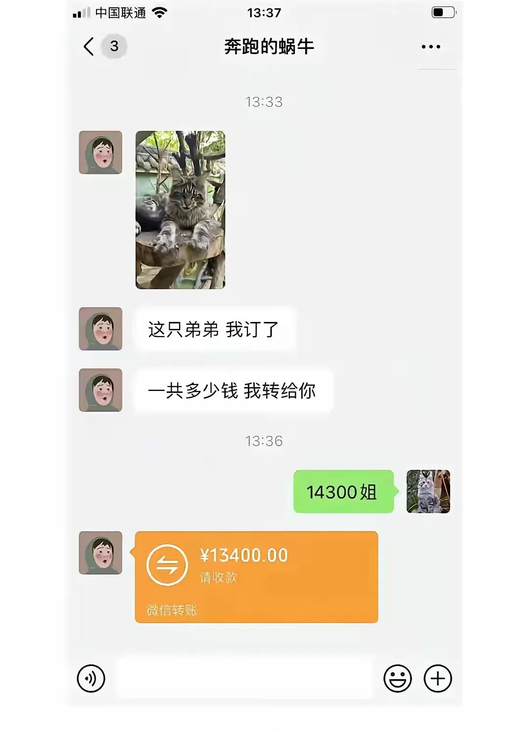 姐，我打包好了，可以给尾款了。