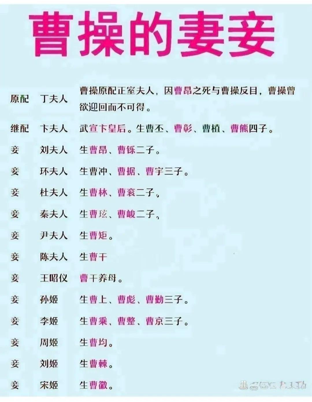 曹操的妻妾。三国人物三国