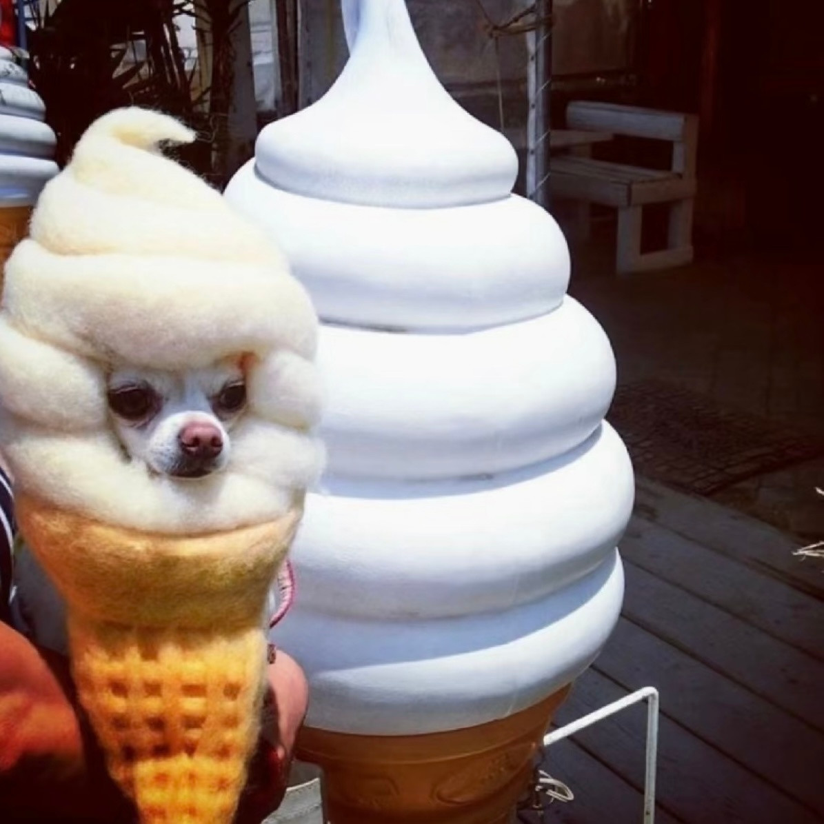 보고싶어⸝⸝>ヮ<⸝⸝