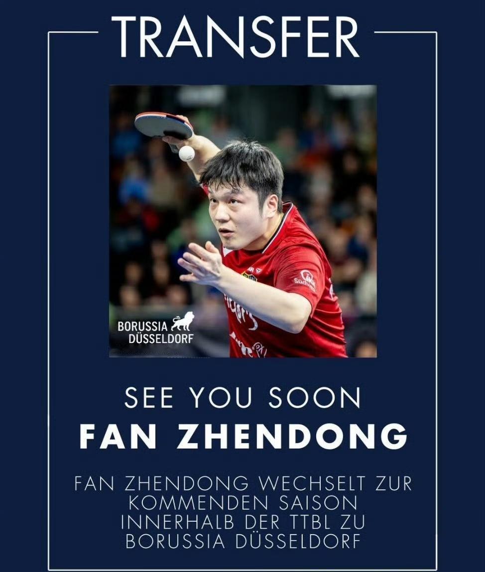 樊振东还会回到国乒打球吗？重磅消息：樊振东加盟德甲杜塞尔多夫乒乓球俱乐部！樊