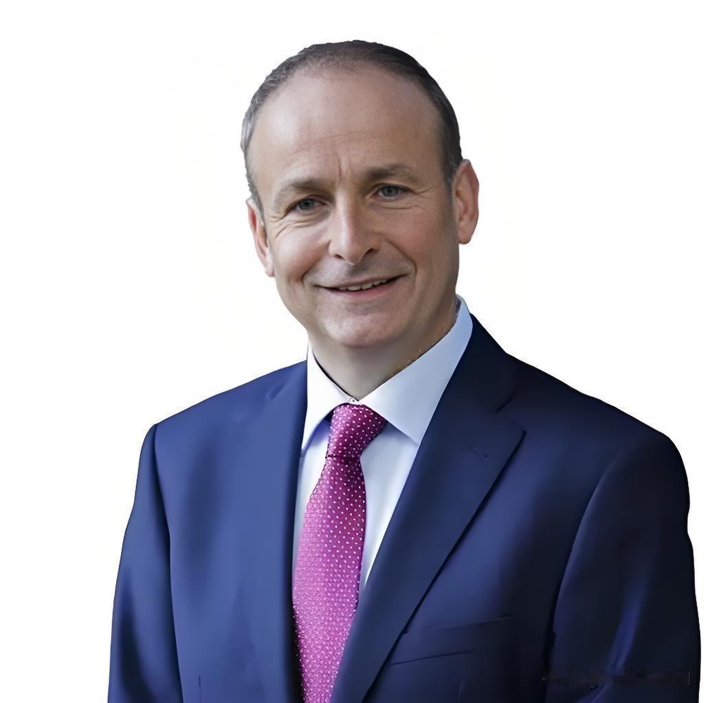 快讯！爱尔兰总统宣布:2026年1月19日，爱尔兰总理米歇尔·马丁发出警告