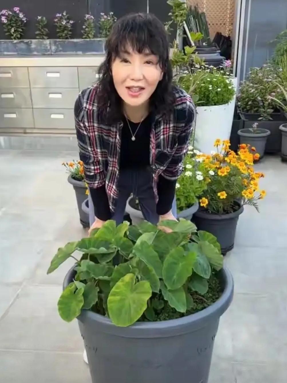 61岁张曼玉：从影后到烟火日常，松弛感拉满近日，张曼玉上热搜，不是走红毯，也