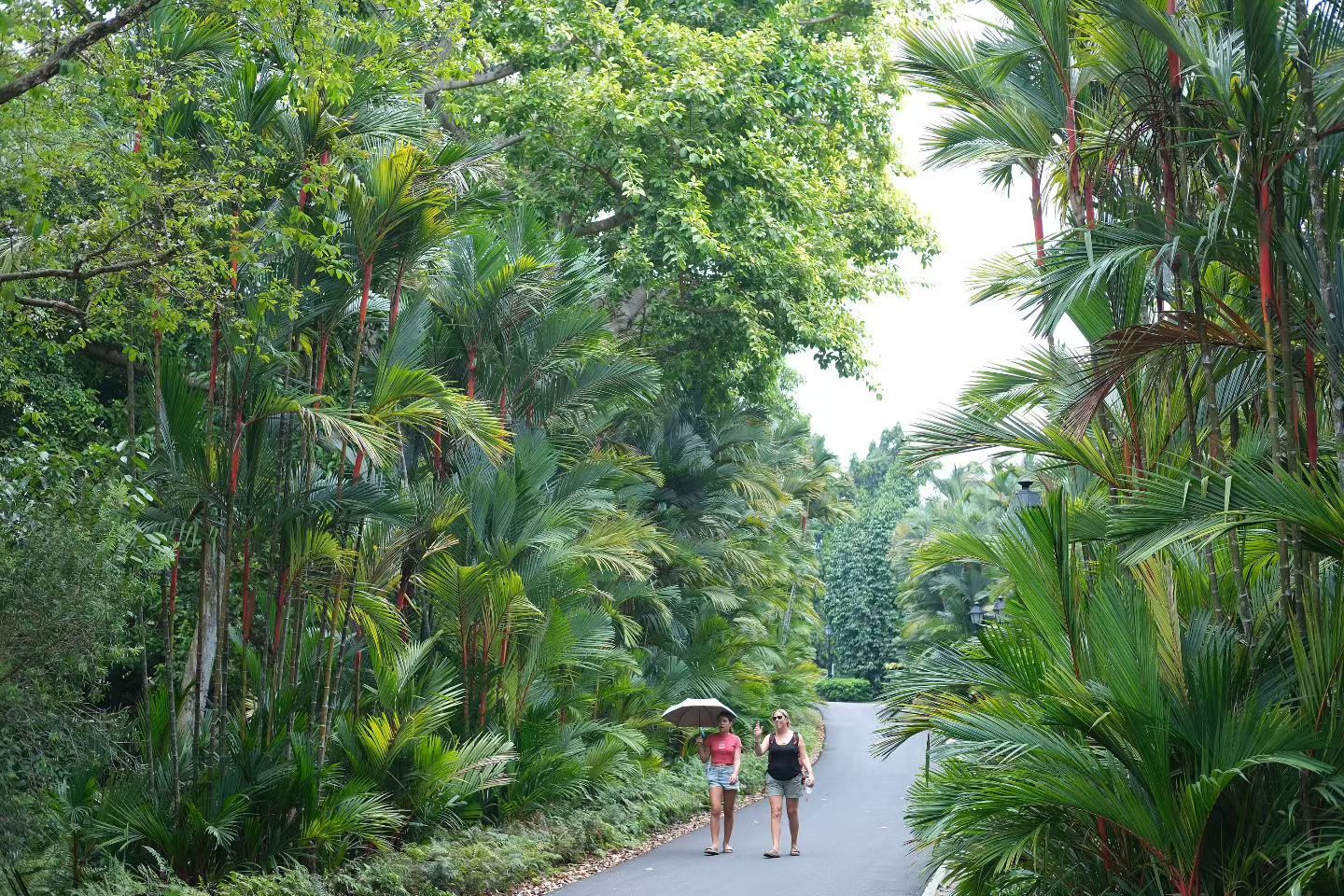 新疆的旅游资源，它是接近瑞士，接近新西兰的。浙江全省旅游资源也是属一数二。去过新