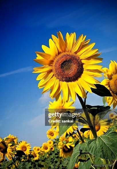 最近，协和医院的某位医生一段话刷爆全网。“只要你全身不紧张，就不容易生病”，