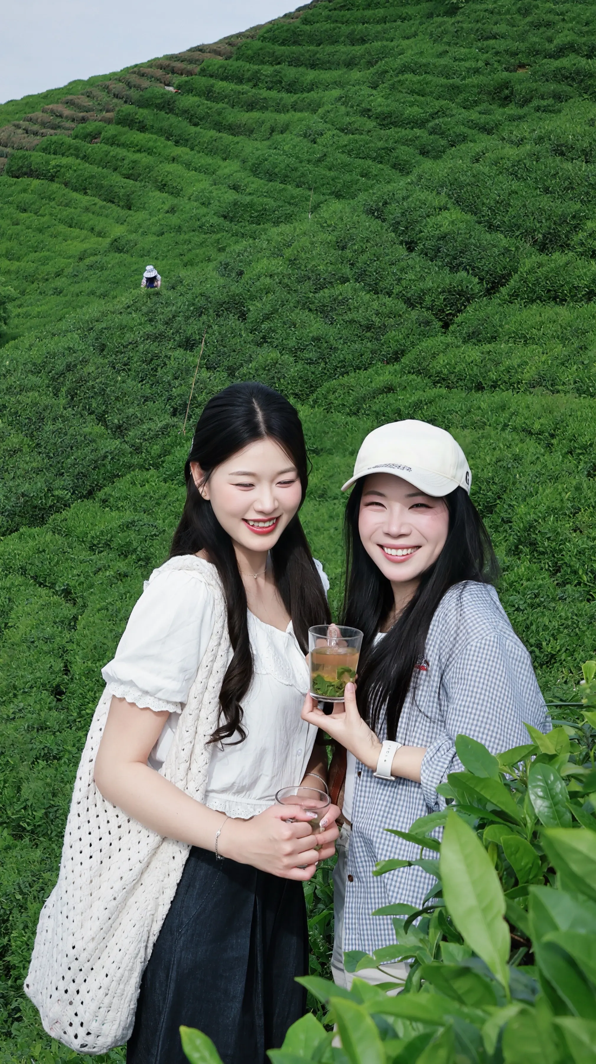 🍃上春山🌳 在山茶园里疯狂吸氧~