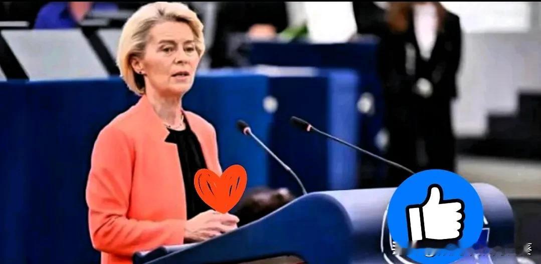 号外！号外！乌克兰彻底没电了……欧盟向乌克兰提供紧急能源援助，孙玉良