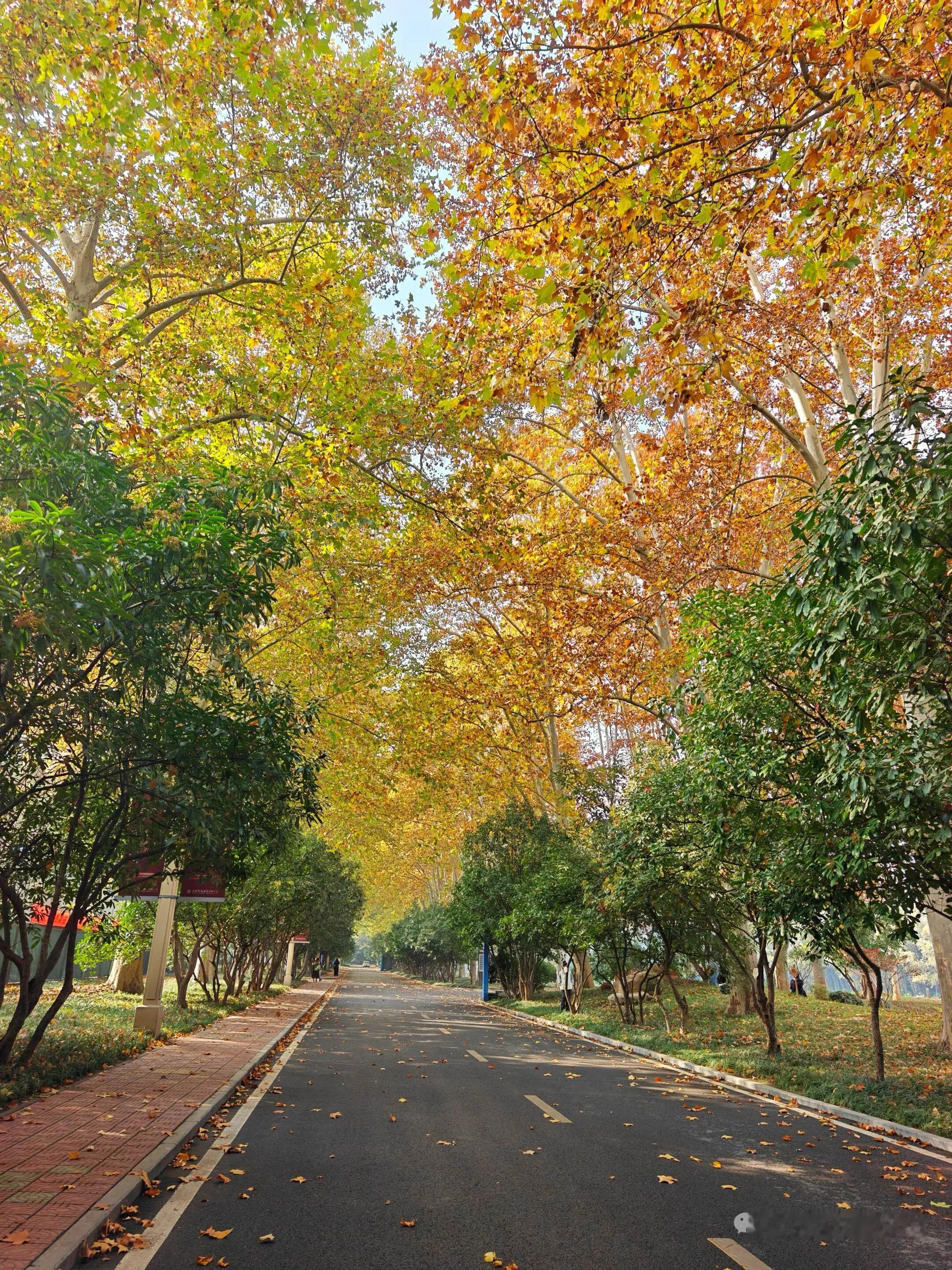 文学常识：30个藏在成语背后的“典故”1、玩物丧志：（“物”指鹤）；2、相濡以沫