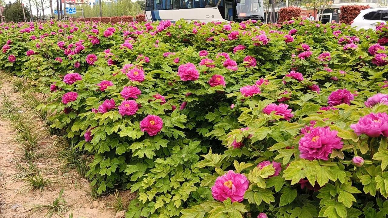 朋友上个月开始炒股，不得不说，他还真是有天赋，短短十几天，就让他找到了股市涨跌的