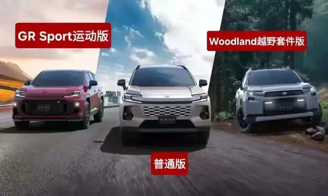 丰田荣放，以其有棱有角的硬朗造型惊艳亮相，仿佛汲取了雷克萨斯的灵动精髓，帅气值直