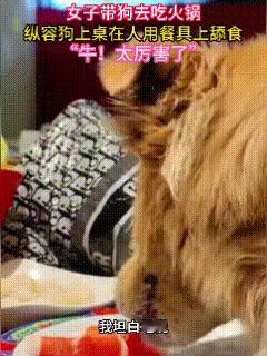 北京，12月19日报道，餐馆带狗上桌舔盘的女子，已经彻底慌了！女子见势不妙，对外