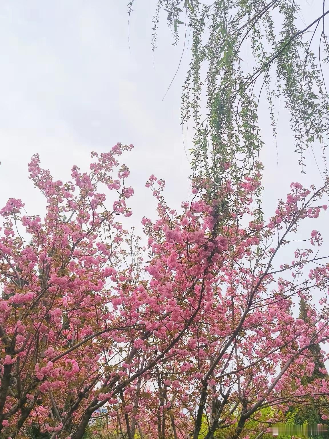 一定要告诫孩子，十个红线千万不能碰：1.不和同学去娱乐场所，包括同性和异性的同学