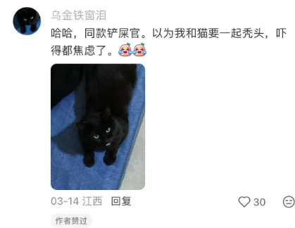 我的猫秃头了