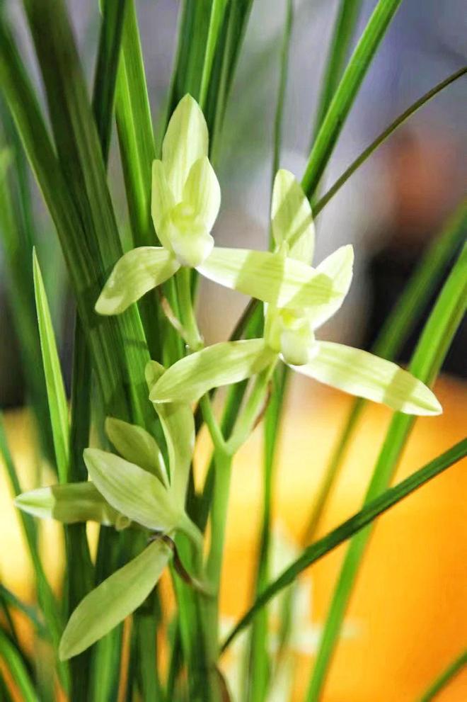 下联：东奔西走南来北往