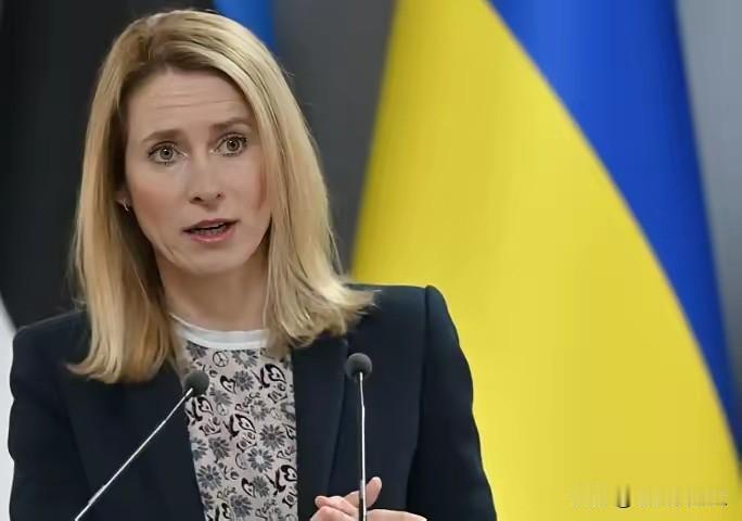 1月3日，马杜罗被“抓捕”后，欧盟的吃相太难看了，竟然公开拉偏架。欧盟外交与安全