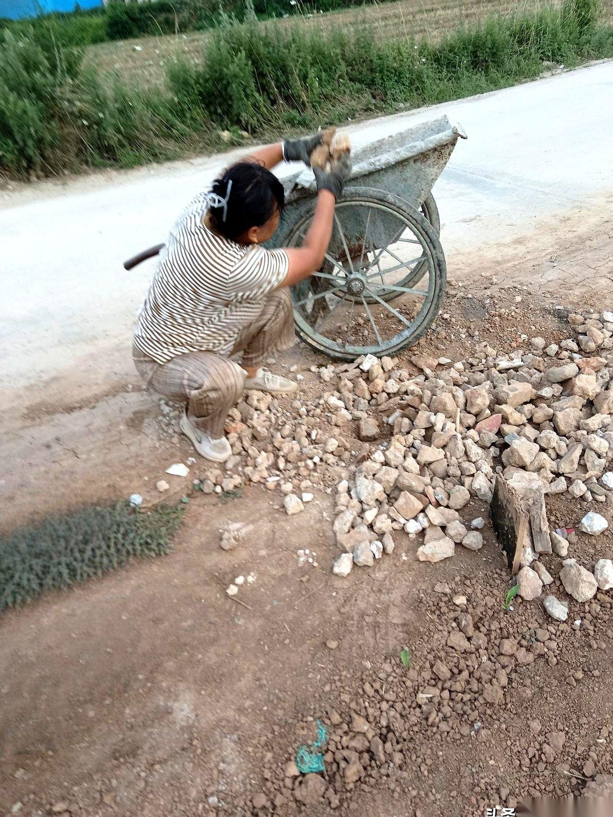 下午三点，西安长安区魏寨村。三十多亩的玉米地，被烈日烤得冒烟。路边，65岁的娥