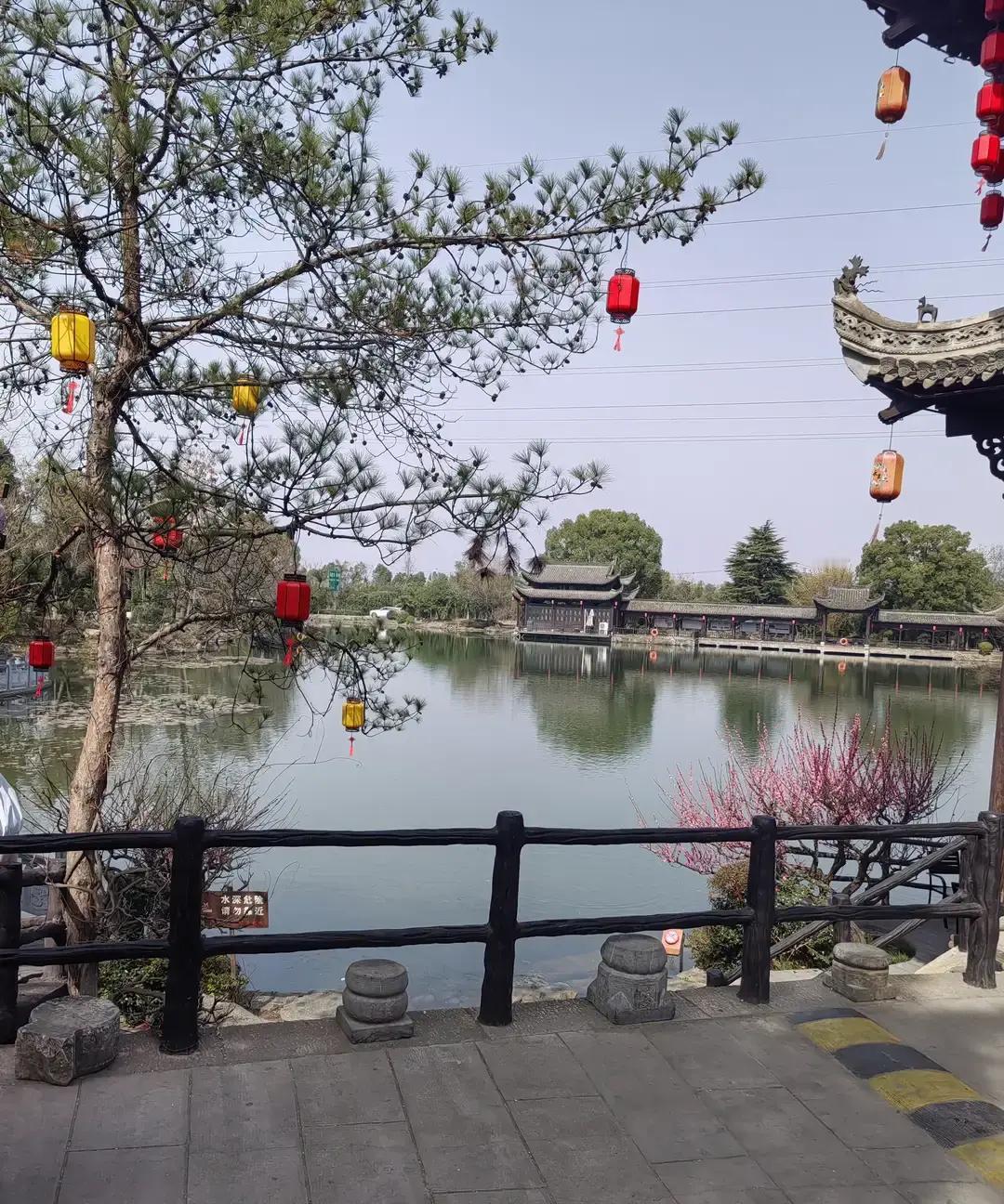 780万精神分裂症患者里，四成没吃上规律药。家里表哥就是典型，25岁发病，住