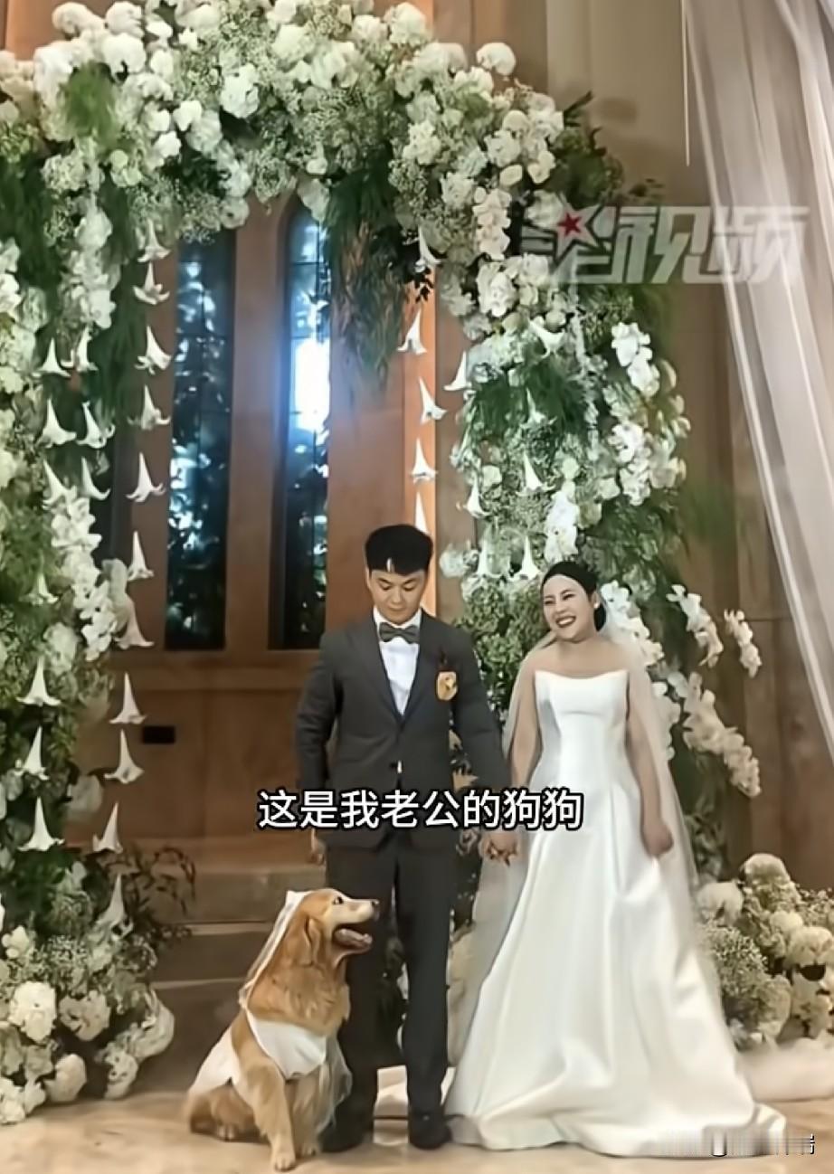 看哭了！厦门一男子养了11年的狗狗突然查出肿瘤，没想到，他为了让狗狗能参与他的婚