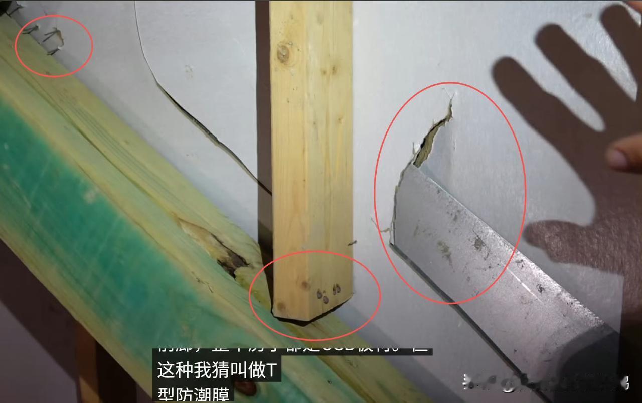 一位住在美国德克萨斯州的倒霉蛋发现自己家房子上面的石材装饰板松了，好奇的他爬