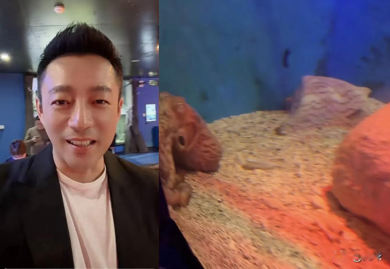 汪小菲更新动态两口子带着玥儿和箖箖，到广州正佳广场的水族馆玩去了。马筱梅带孩