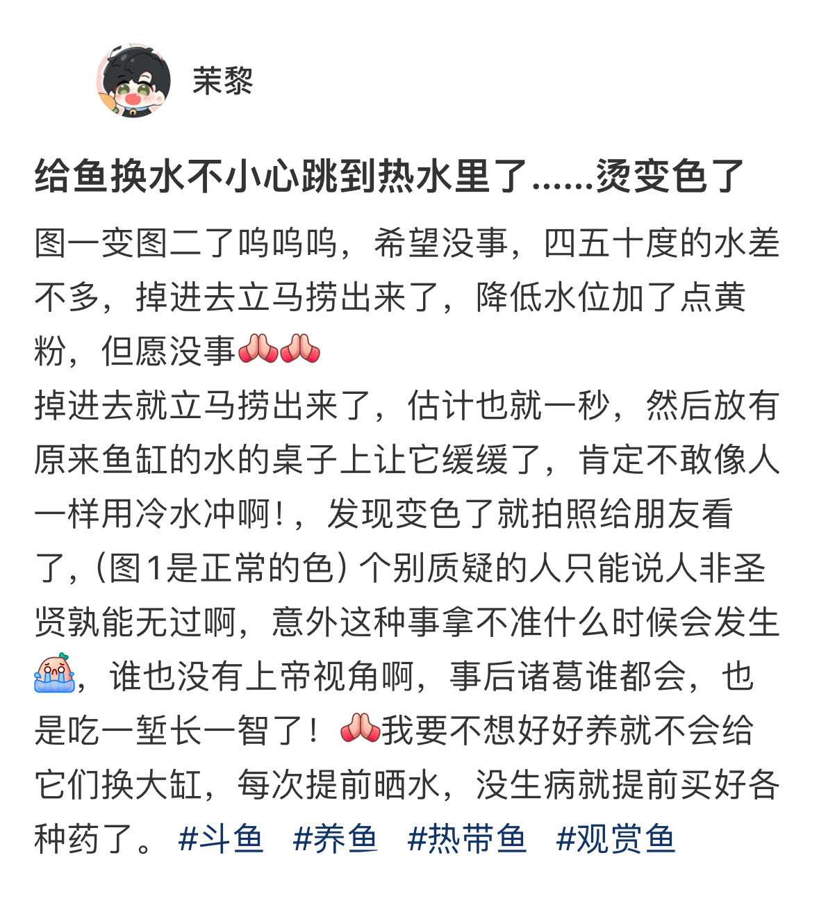 这鱼是烫熟了不是烫变色了[捂脸哭]