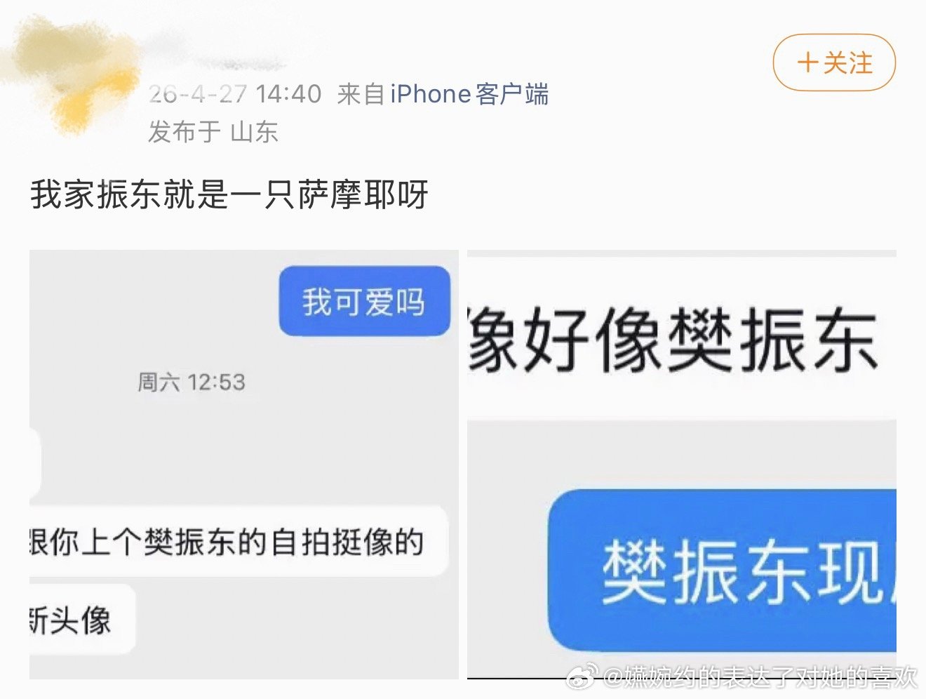 萨摩耶看到你们都无地自容了，怎么就不约而同缠上同一品种的狗了