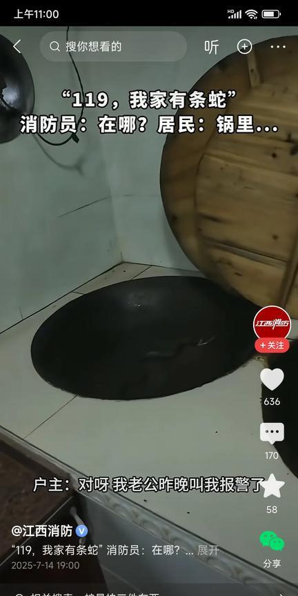 江西吉安，一点黑蛇居然爬进了住户的铁锅里面，把一家人吓得够呛！夏天正是蛇出没的时