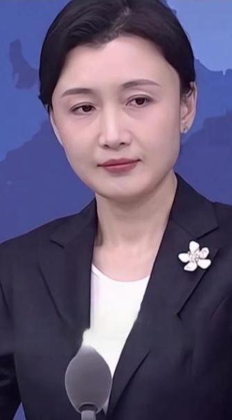新的对台信号出现了！上月底那场发布会，发言人张晗几乎是把话筒变成了定音锤。当