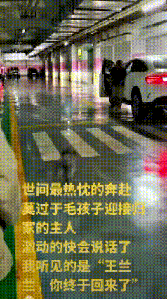 你瞅瞅这一幕，看着心里怪感动嘞。主人出门走了整整六天，等开车回到地下车库刚一下车